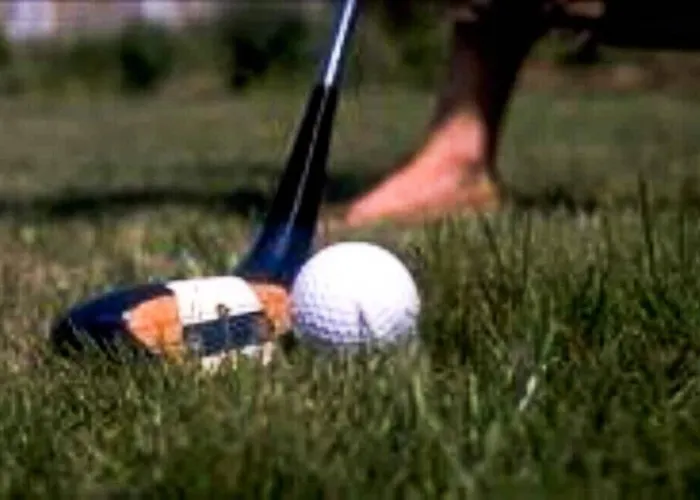 Charmante Maison En Bois Proche Chalé